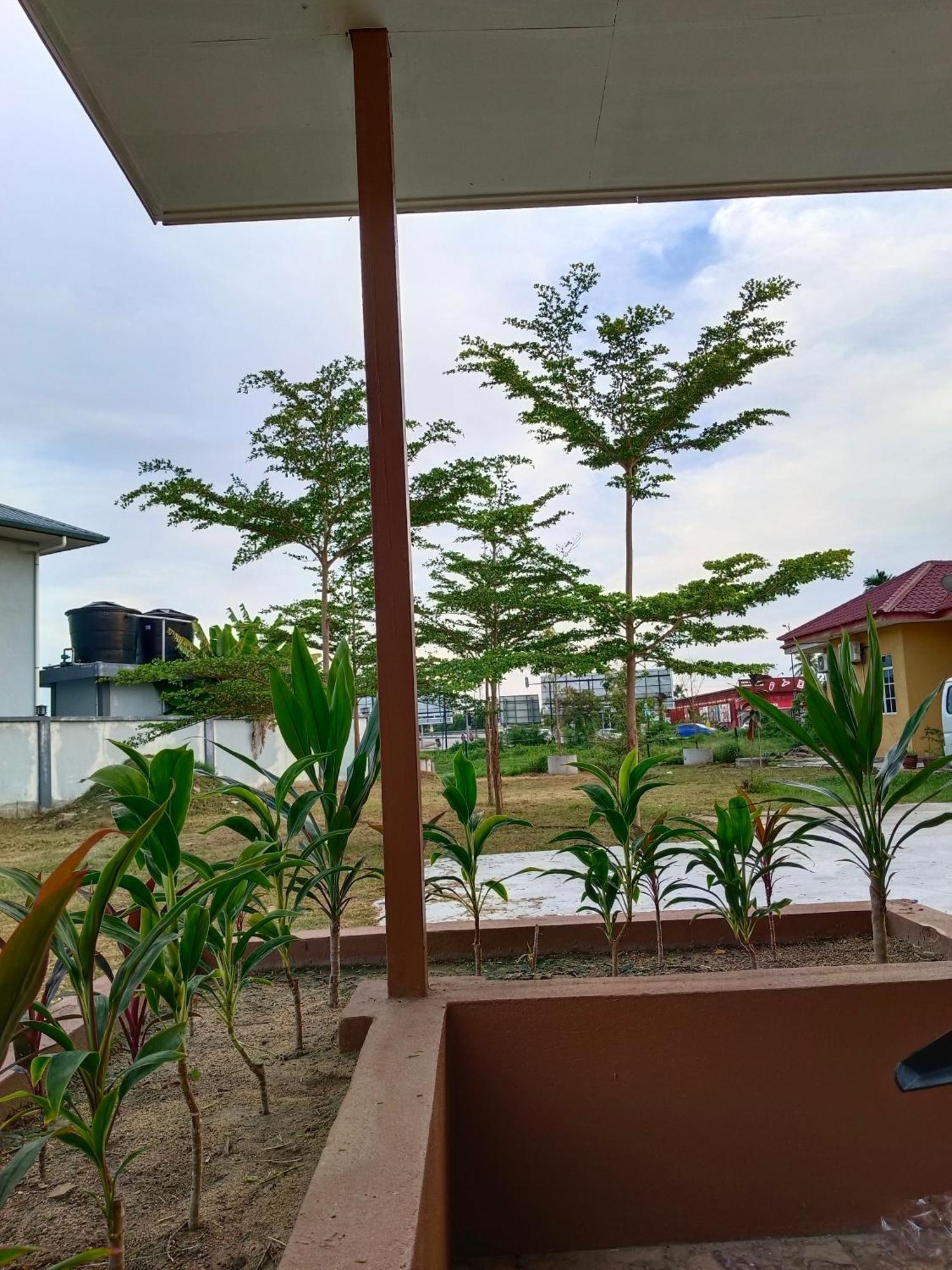 Alfa Roomstay Pantai Cenang  Exteriér fotografie